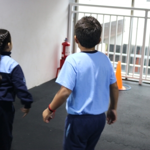 Día de la Actividad Física